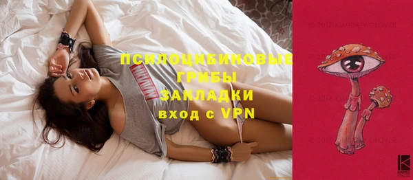 Альфа ПВП Беломорск
