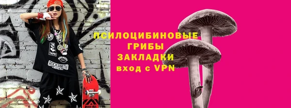 бутират Белокуриха