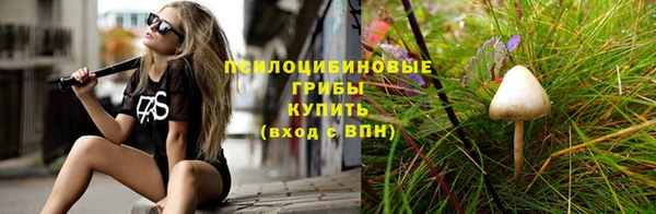 mdpv Богданович