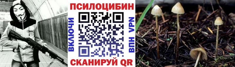 Галлюциногенные грибы Psilocybine cubensis  цена наркотик  гидра   Минеральные Воды 