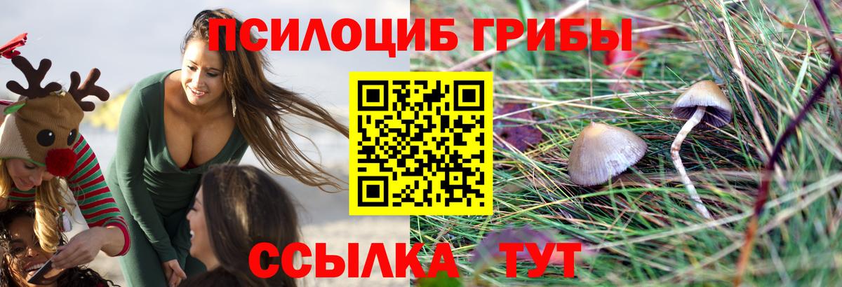Минеральные Воды  Псилоцибиновые грибы мицелий  Вход с VPN 