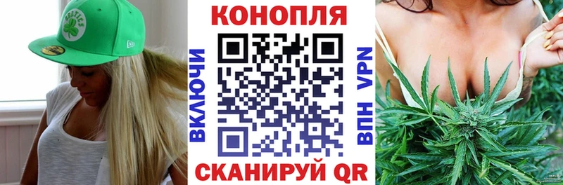 Канабис сатива  сколько стоит  Минеральные Воды 